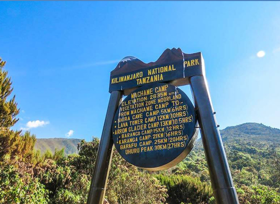 Kilimanjaro Climb