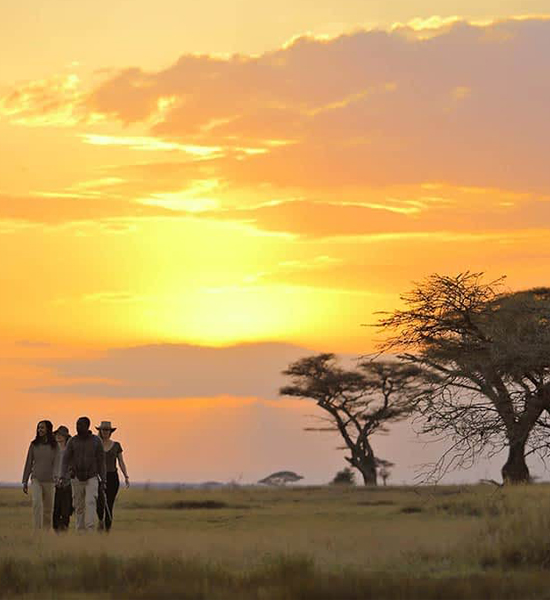 Serengeti National Park