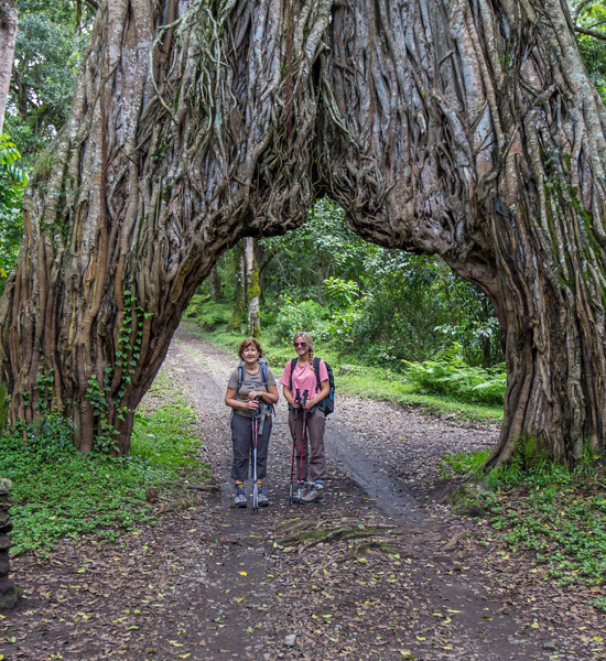 Arusha National Park